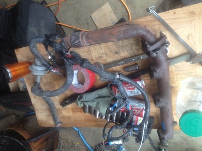 exhaust manifold and harness